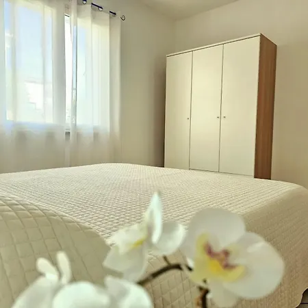 Solara * 타나우넬라